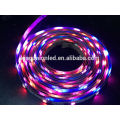 Diferentes tipos de RGB LED Magic Light Strip CE ROHS aprovado